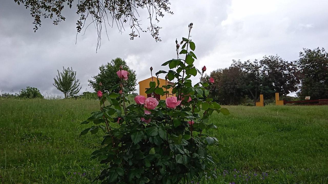 Casa Rural Camino Del Alentejo Villa La Codosera Exterior photo