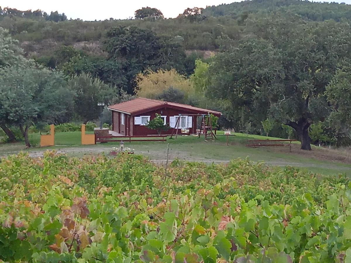 Casa Rural Camino Del Alentejo Villa La Codosera Exterior photo